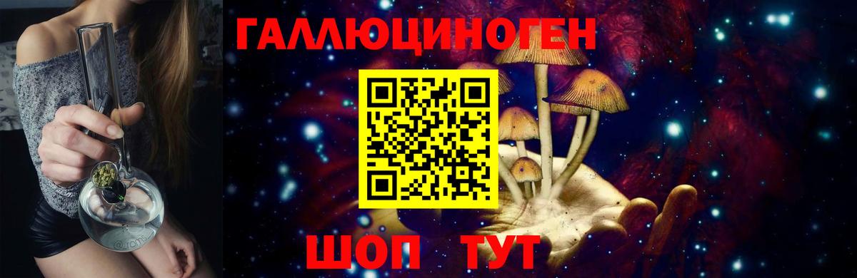 Острогожск  Псилоцибиновые грибы Psilocybe  Вход с VPN 